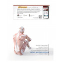Textbook of Human Anatomy, 2/e | with COLOR ATLAS and Clinical Integration Volume 5 (Head, Neck and Face), Volume 6 (Brain)… - A
