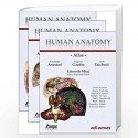 Human Anatomy Atlas 3 Vol Set (Pb 2018) Spl Price book by ANASTASI G, Eugenio Gaudio