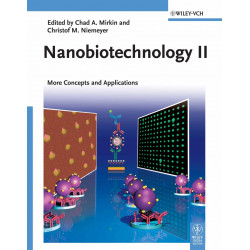 Nanobiotechnology Ii: More Concepts And Applications (Pb 2013) book by Chad A. Mirkin, Christof M. Niemeyer