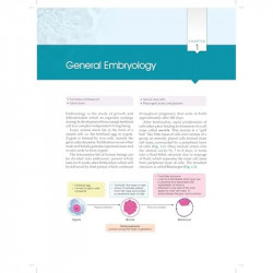 Essentials of Oral Biology 3ed. (PB 2026) book by Maji Jose - Additional Image 8