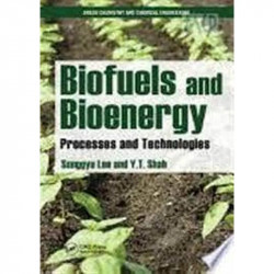 BIOFUELS AND BIOENERGY PROCESSES AND TECHNOLOGIES book by LEE