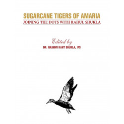 SUGARCANE TIGERS OF AMARIA JOINING THE DOTS WITH RAHUL SHUKLA (HB 2023) book by SHUKLA R K (IFS) - Additional Image 4