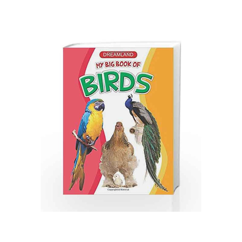 My Big Book of Birds by Dreamland Publications Book-9789350892381