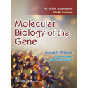 Molecular Biology of the Gene An Indian Adaptation 9/e (PB -2026) book by James D Watson et al, Madhu Yashpal