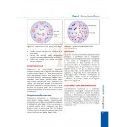 Textbook of Microbiology for GNM Nursing students, 3rd Edition - 2025 book by Mrinalini Bakshi - Additional Image 7