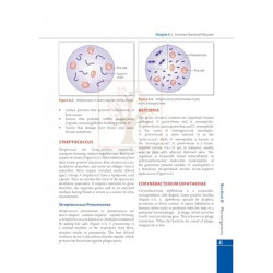 Textbook of Microbiology for GNM Nursing students, 3rd Edition - 2025 book by Mrinalini Bakshi - Additional Image 8