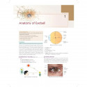 Competency-Based Textbook of Ophthalmology (PB 2027) book by Rubie Malhotra, Pooja Kanodia - Additional Image 8