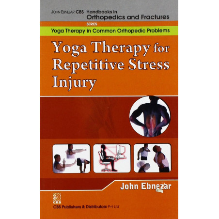 YOGA THERAPY FOR REPETITIVE STRESS INJURY ( HANDBOOKS IN ORTHOPEDICS AND FRACTURES SERIES, VOL. 101-YOGA THERAPY IN COMMON O…
