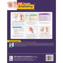 ONE TOUCH ANATOMY FOR NEET PG NEXT FMGE INI CET UNDERGRADUATES (PB 2025) book by Shrikant Verma - Additional Image 5
