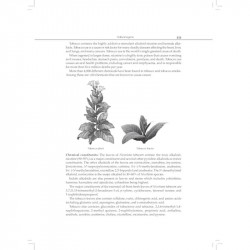 Textbook of Pharmacognosy and Phytochemistry I | Course Code BP 405T for Fourth Semester Bachelor in Pharmacy (PB 2026) book… -