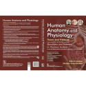 Human Anatomy and Physiology | Theory and Practicals | Questions and Answers for Pharmacy Students - 2025 | Course Codes BP… - A