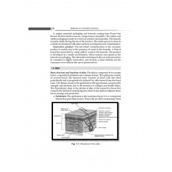 Textbook of Cosmetics Science for Bachelor in Pharmacy Students | Course Code: BP 809ET | (PB - 2026) book by Ravikumar Veje… -