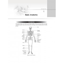 Positioning in Radiography for Radiology Residents and Technologists (PB 2027) book by Satish K Bhargava, Sumeet Bhargava - Addi