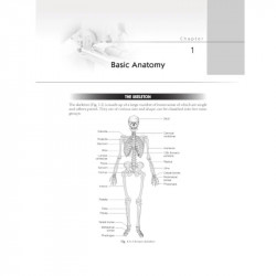 Positioning in Radiography for Radiology Residents and Technologists (PB 2027) book by Satish K Bhargava, Sumeet Bhargava - Addi