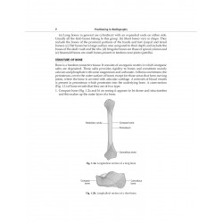 Positioning in Radiography for Radiology Residents and Technologists (PB 2027) book by Satish K Bhargava, Sumeet Bhargava - Addi