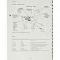 Veterinary Parasitology Reference Manual 5Ed (Pb 2001) book by William J. Foreyt - Additional Image 6