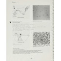 Veterinary Parasitology Reference Manual 5Ed (Pb 2001) book by William J. Foreyt - Additional Image 7