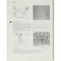 Veterinary Parasitology Reference Manual 5Ed (Pb 2001) book by William J. Foreyt - Additional Image 8
