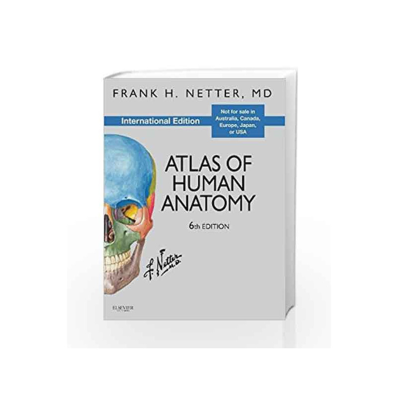 Atlas of Human Anatomy, International Edition (Netter Basic Science) by Netter Book-9780808924517
