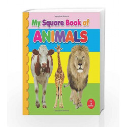 My Square Board Book: Animals by Dreamland Publications Book-9789350891537