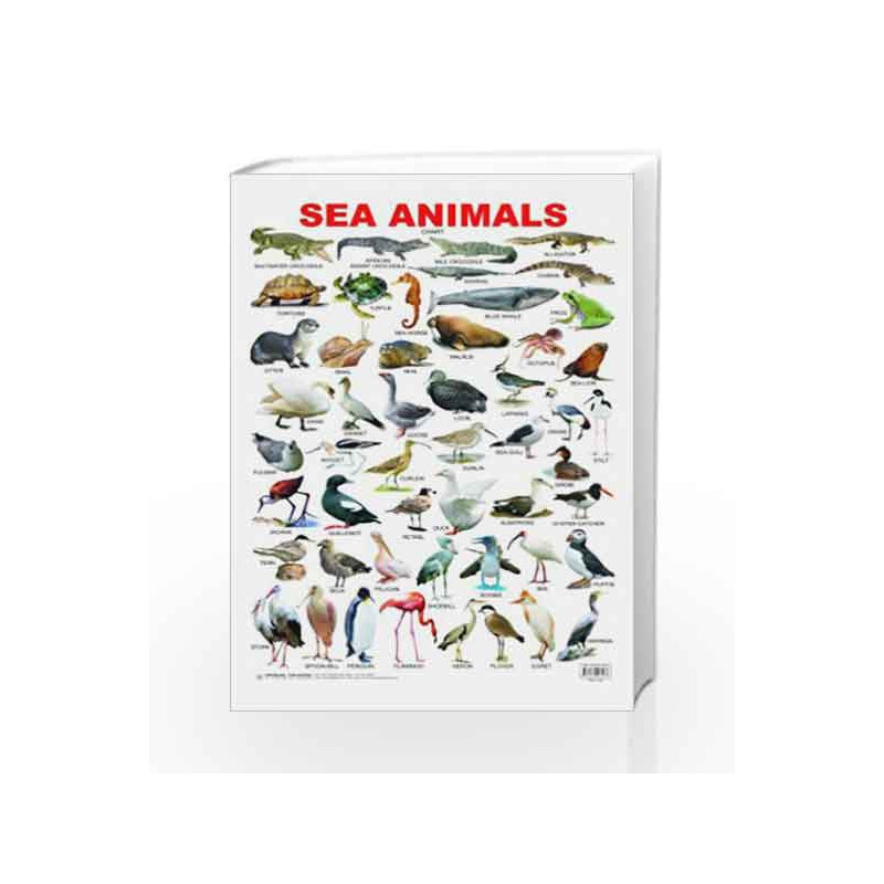 Sea Animal by Dreamland Publications Book-9788184513578
