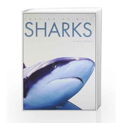 Sharks by VALERIE BODDEN Book-9788184953404
