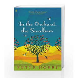 The Swallows In the Orchard by Peter Hobbs Book-9780571279272