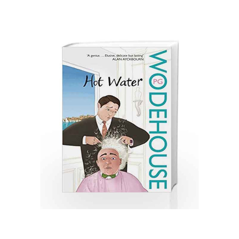 Hot Water by P.G. Wodehouse Book-9780099514152
