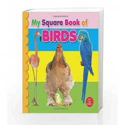 My Square Board Book: Birds by NA Book-9789350891544