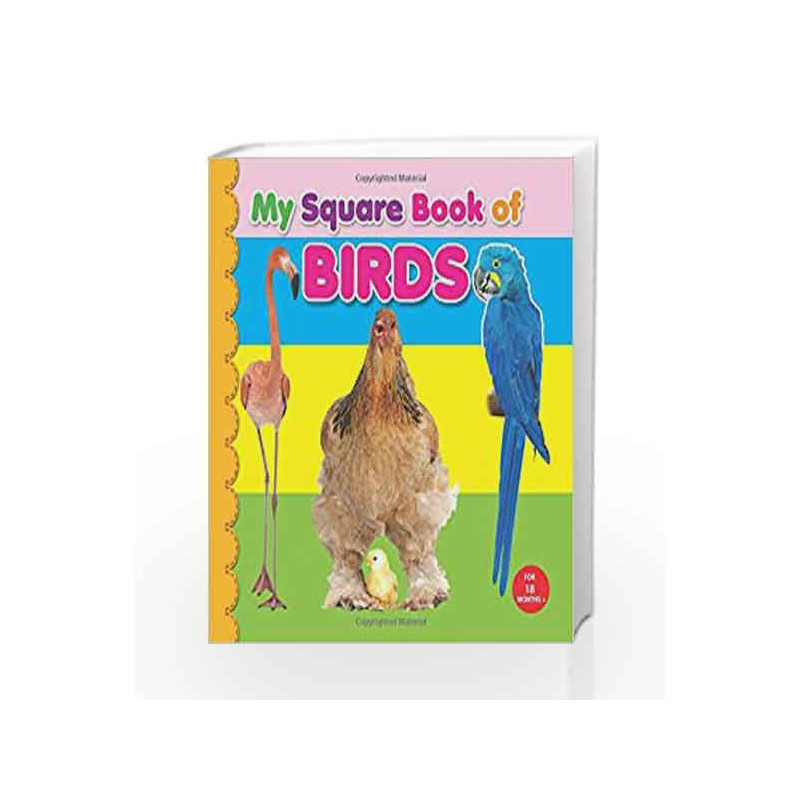 My Square Board Book: Birds by NA Book-9789350891544