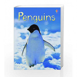 Penguins (Beginners Series) by Emily Bone Book-9780746099667