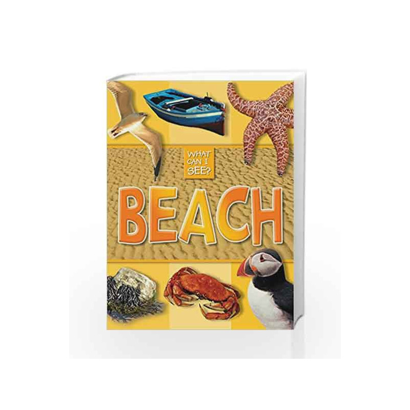 What Can I See?: Beach by NA Book-9780753725009