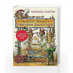 The Incredible Adventures of Professor Branestawm (Vintage Classics) by Hunter, Norman Book-9780099582496