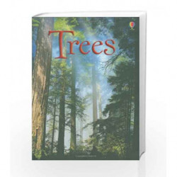 Trees (Beginners Series) by Lisa Jane Gillespie Book-9780746090220