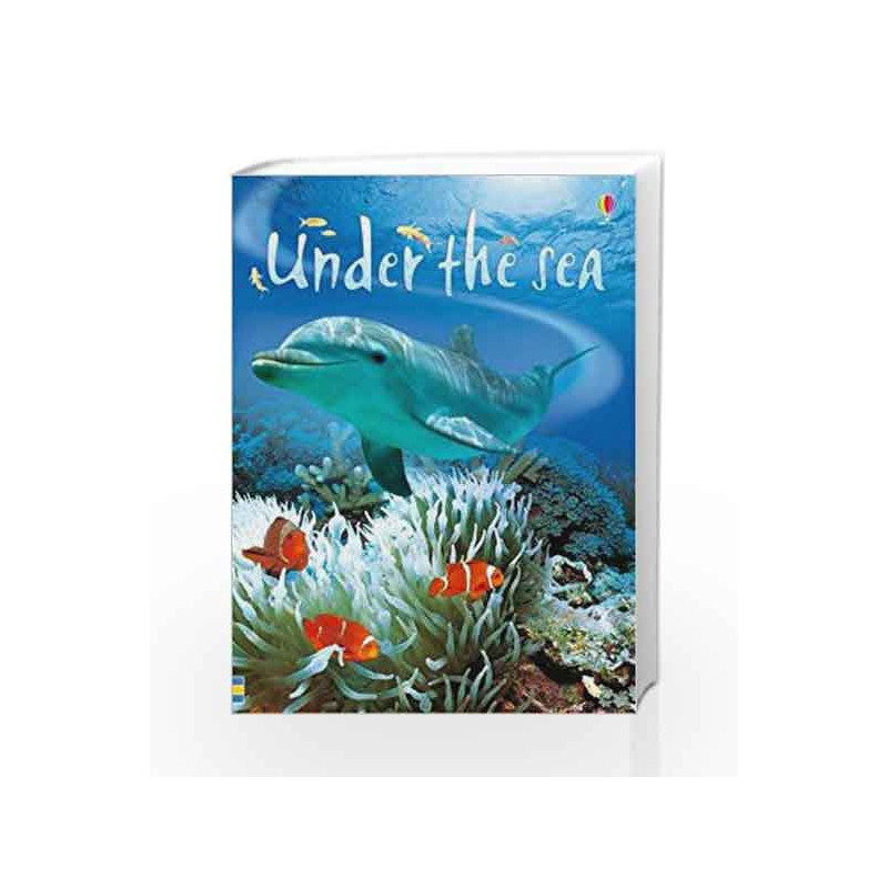 Under The Sea (Beginners Series) by Fiona Patchett Book-9780746074879