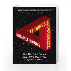 13 Things That Don't Make Sense: The Most Intriguing Scientific Mysteries of Our Time by Michael Brooks Book-9781861976475