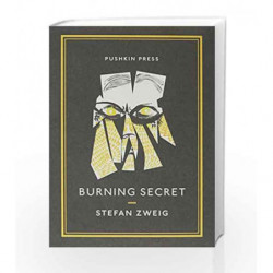 Burning Secret (Pushkin Collection) by Stefan Zweig Book-9781901285857