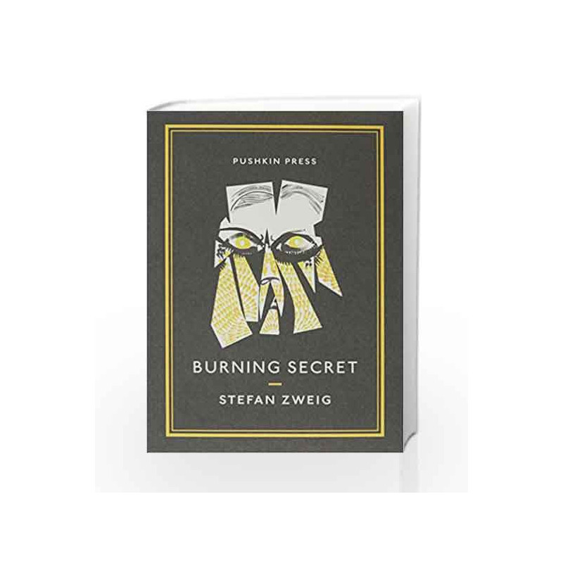 Burning Secret (Pushkin Collection) by Stefan Zweig Book-9781901285857