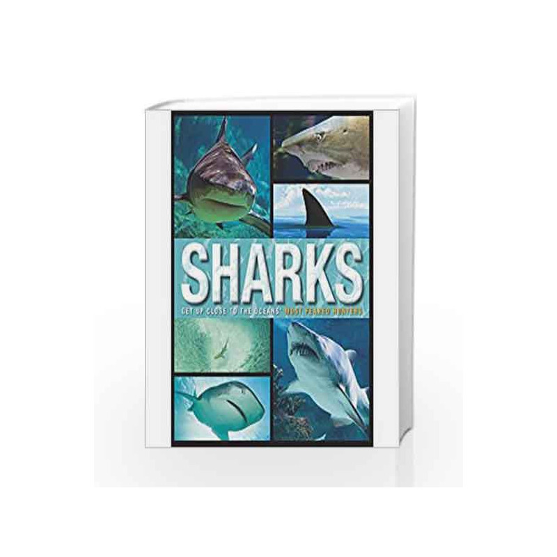 Sharks by Parragon Book-9781472376725