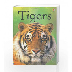 Beginners: Tigers (Beginners Series) by James Maclaine Book-9781409530671