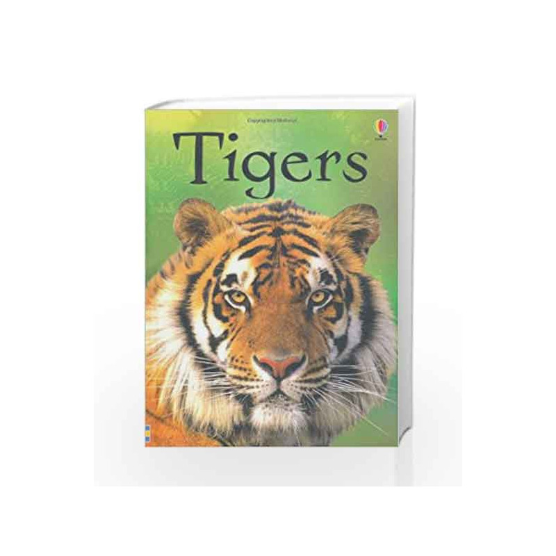 Beginners: Tigers (Beginners Series) by James Maclaine Book-9781409530671