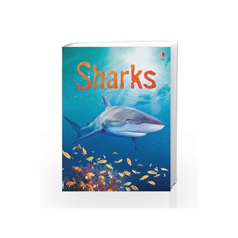 Sharks (Beginners Series) by Catriona Clarke Book-9780746074756