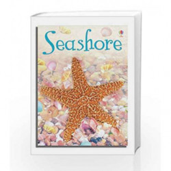 Seashore (Usborne Beginners) by Lucy Bowman Book-9780746088647