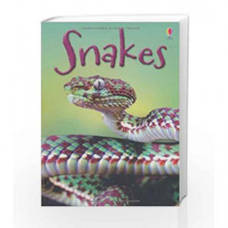 Snakes (Beginners Series) by James Maclaine Book-9781409565253