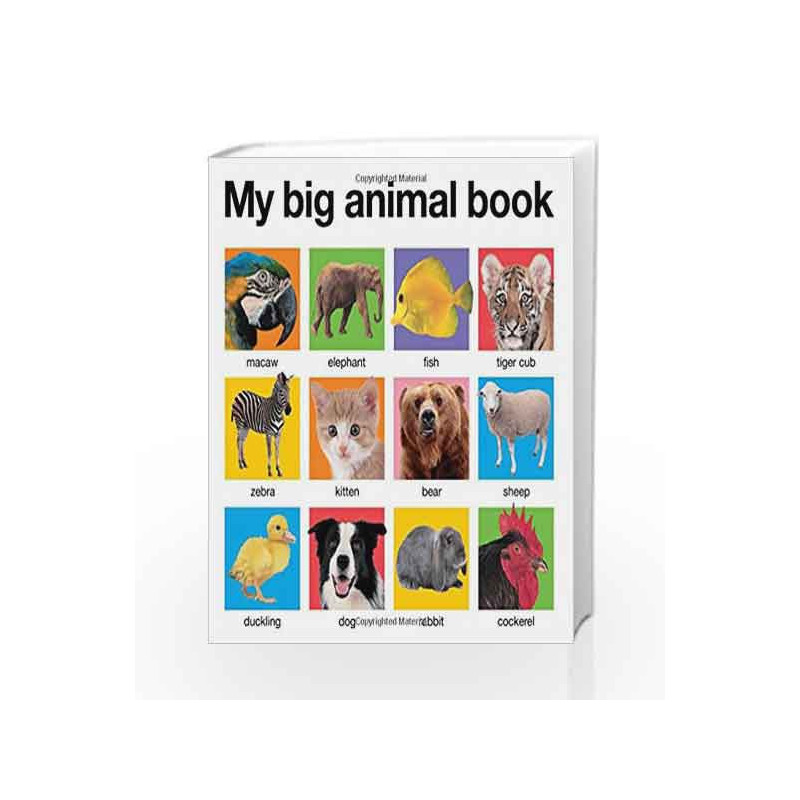 My Big Animal Book (My Big Board Books) by Roger Priddy Book-9780312511074