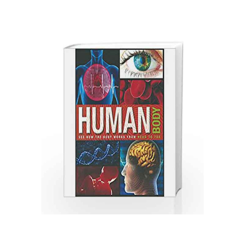 Amazing Fact Human Body by NA Book-9781474847681