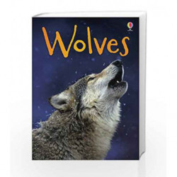 BEG Wolves (Beginners Series) by James Maclaine Book-9781409530695