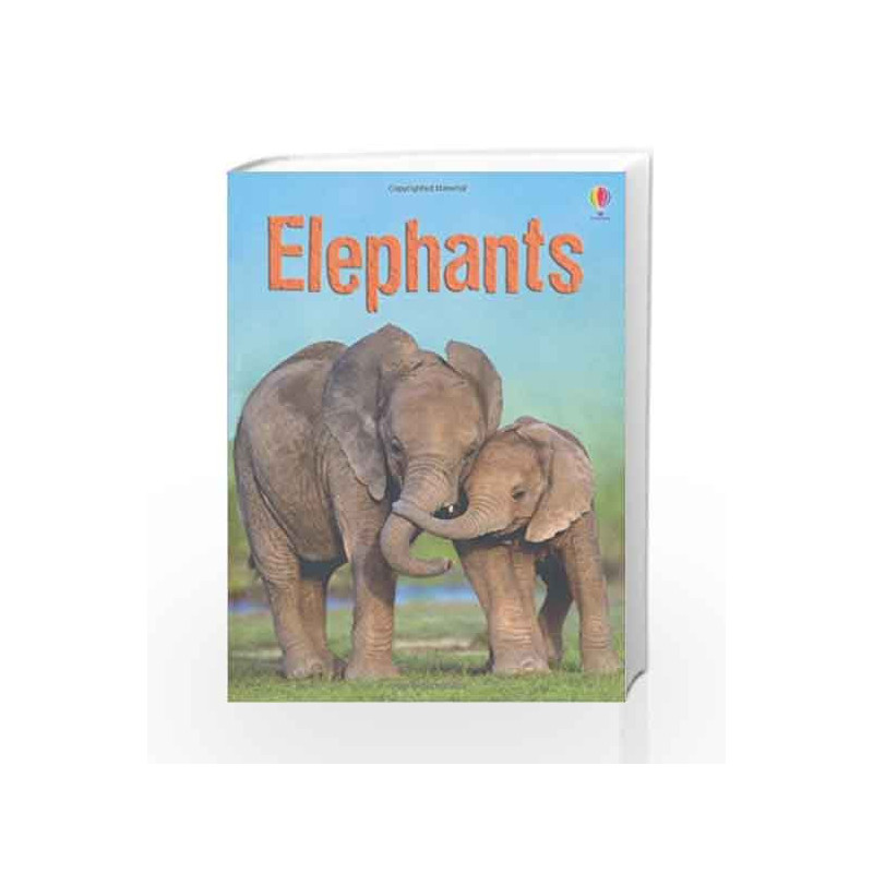 Elephants (Beginners Series) by James Maclaine Book-9781409530497