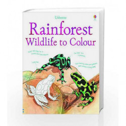 Rainforest Wildlife to Colour (Nature Colouring Books) by Susan Meredith Book-9781409549857
