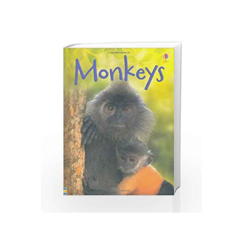 Monkeys (Beginners Series) by Lucy Bowman Book-9781409523079